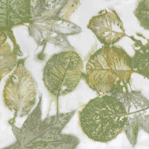 Nature II Black Ornate Wood Framed Art Print with Double Matting by Carson, Danielle