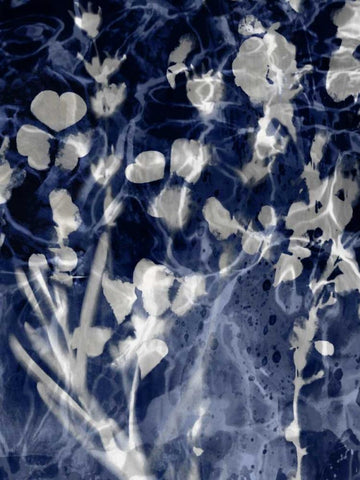 Indigo Nature III Black Ornate Wood Framed Art Print with Double Matting by Carson, Danielle