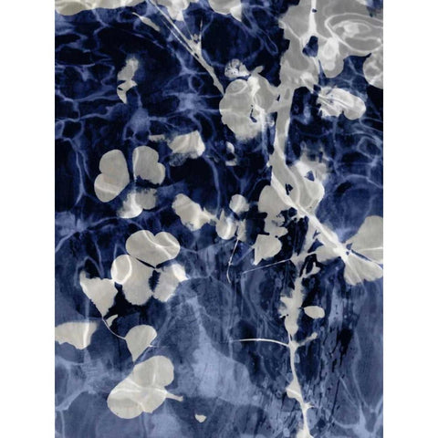 Indigo Nature IV Gold Ornate Wood Framed Art Print with Double Matting by Carson, Danielle