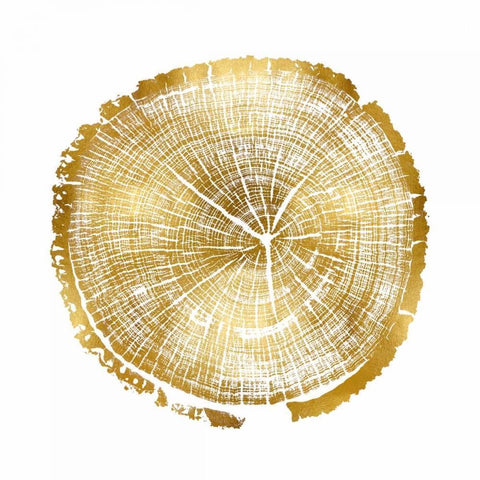 Timber Gold I White Modern Wood Framed Art Print by Carson, Danielle