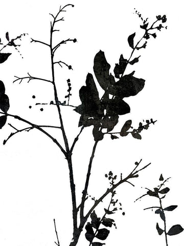 Nature Silhouette II Black Ornate Wood Framed Art Print with Double Matting by Carson, Danielle