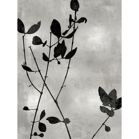 Nature Silhouette Silver I Black Modern Wood Framed Art Print with Double Matting by Carson, Danielle