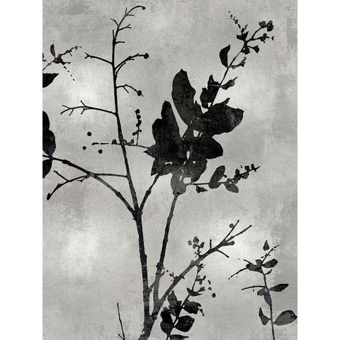 Nature Silhouette Silver II Black Modern Wood Framed Art Print with Double Matting by Carson, Danielle