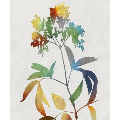 Colorful Nature V White Modern Wood Framed Art Print by Carson, Danielle