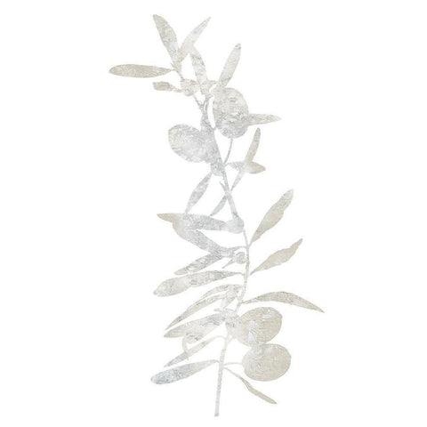 Natural Nature IV White Modern Wood Framed Art Print by Carson, Danielle