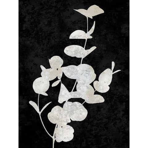 Nature White on Black I White Modern Wood Framed Art Print by Carson, Danielle