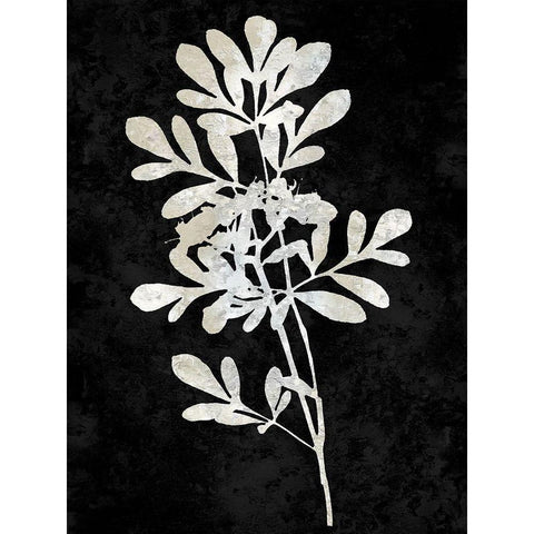 Nature White on Black II Black Modern Wood Framed Art Print with Double Matting by Carson, Danielle