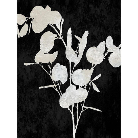 Nature White on Black III Black Modern Wood Framed Art Print with Double Matting by Carson, Danielle