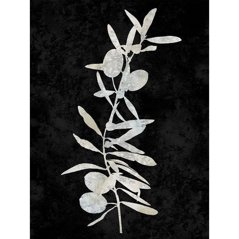 Nature White on Black IV Black Modern Wood Framed Art Print with Double Matting by Carson, Danielle