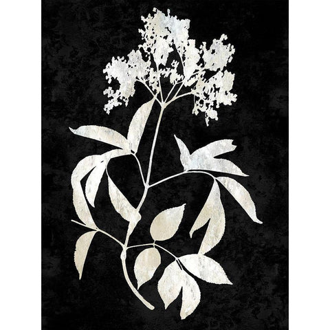 Nature White on Black V Gold Ornate Wood Framed Art Print with Double Matting by Carson, Danielle