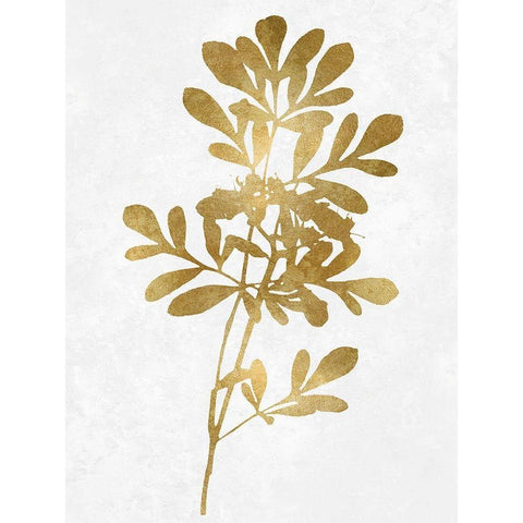 Nature Gold on White II Gold Ornate Wood Framed Art Print with Double Matting by Carson, Danielle