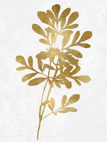 Nature Gold on White II White Modern Wood Framed Art Print with Double Matting by Carson, Danielle