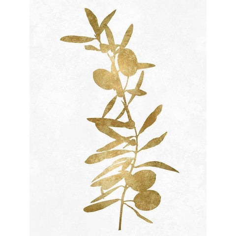 Nature Gold on White IV Black Modern Wood Framed Art Print with Double Matting by Carson, Danielle