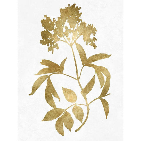 Nature Gold on White V White Modern Wood Framed Art Print by Carson, Danielle