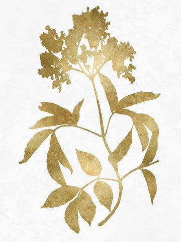 Nature Gold on White V White Modern Wood Framed Art Print with Double Matting by Carson, Danielle