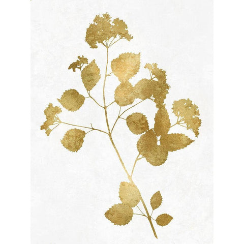 Nature Gold on White VI White Modern Wood Framed Art Print by Carson, Danielle