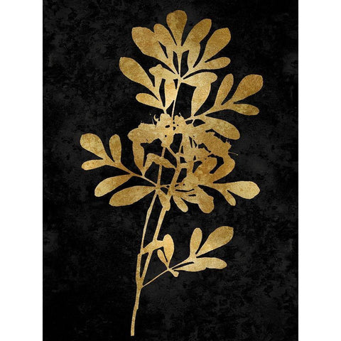 Nature Gold on Black II Black Modern Wood Framed Art Print with Double Matting by Carson, Danielle