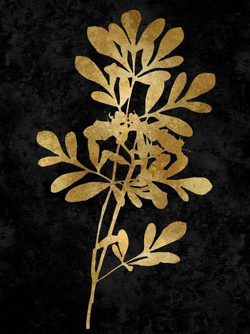 Nature Gold on Black II Black Ornate Wood Framed Art Print with Double Matting by Carson, Danielle