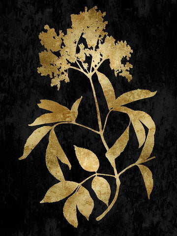 Nature Gold on Black V Black Ornate Wood Framed Art Print with Double Matting by Carson, Danielle