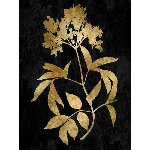 Nature Gold on Black V Gold Ornate Wood Framed Art Print with Double Matting by Carson, Danielle