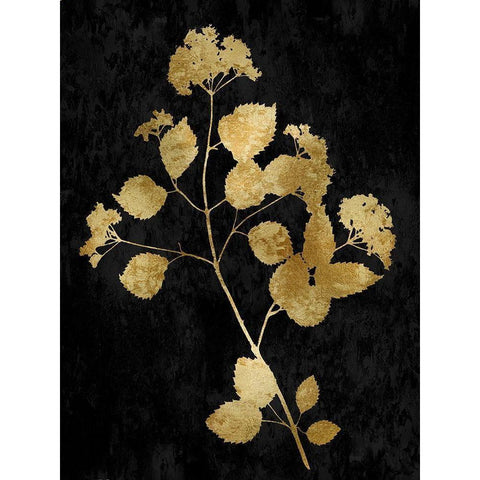 Nature Gold on Black VI Black Modern Wood Framed Art Print with Double Matting by Carson, Danielle