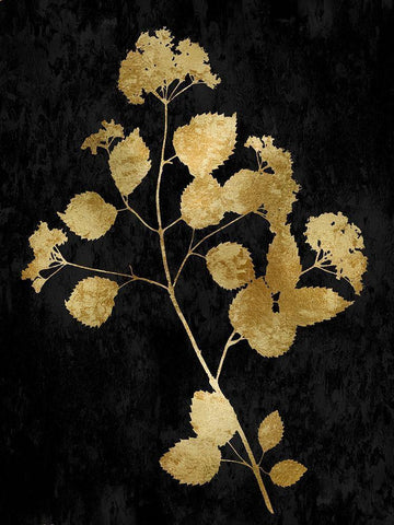 Nature Gold on Black VI Black Ornate Wood Framed Art Print with Double Matting by Carson, Danielle