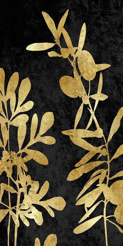 Nature Panel Gold on Black III White Modern Wood Framed Art Print with Double Matting by Carson, Danielle