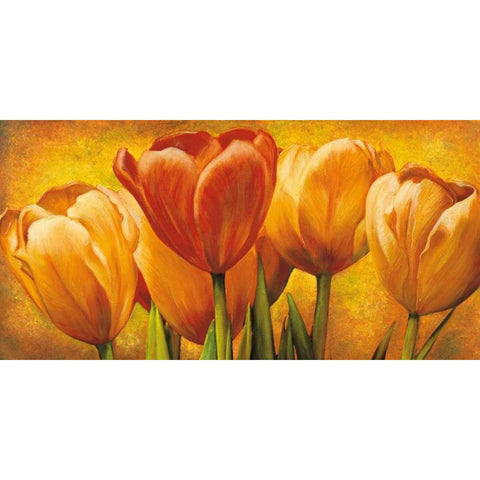 Bouquet of orange tulips White Modern Wood Framed Art Print by Pedersen, David