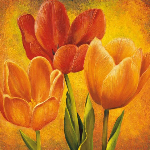 Orange Tulips I White Modern Wood Framed Art Print by Pedersen, David