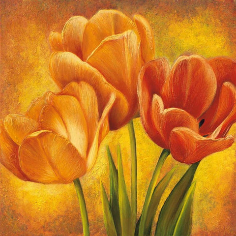 Orange Tulips II White Modern Wood Framed Art Print by Pedersen, David