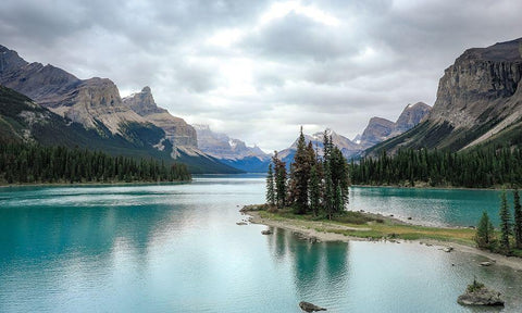 Reflection White Modern Wood Framed Art Print with Double Matting by Sproul, Dan