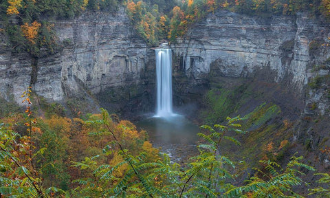 The Falls Black Ornate Wood Framed Art Print with Double Matting by Sproul, Dan