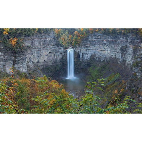 The Falls White Modern Wood Framed Art Print by Sproul, Dan