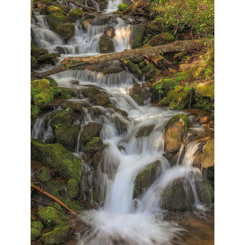 Waterfall Black Modern Wood Framed Art Print by Sproul, Dan