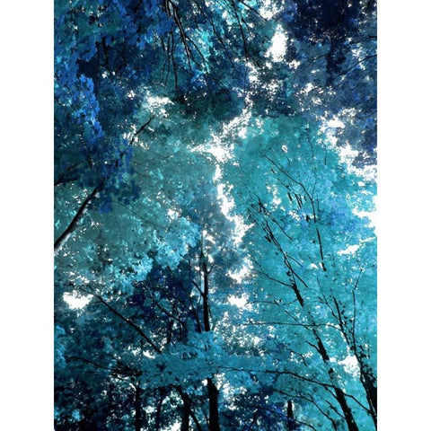 Blue Forest I White Modern Wood Framed Art Print by Scott, Derek