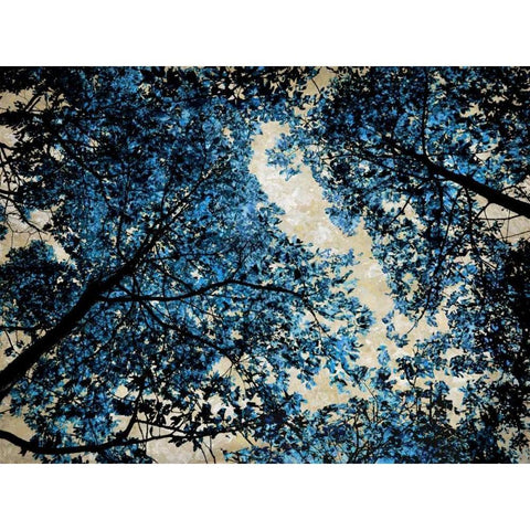 Blue Forest II Gold Ornate Wood Framed Art Print with Double Matting by Scott, Derek