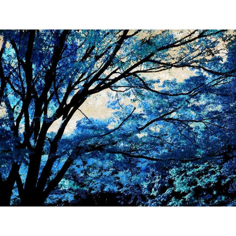 Blue Forest III Black Modern Wood Framed Art Print with Double Matting by Scott, Derek