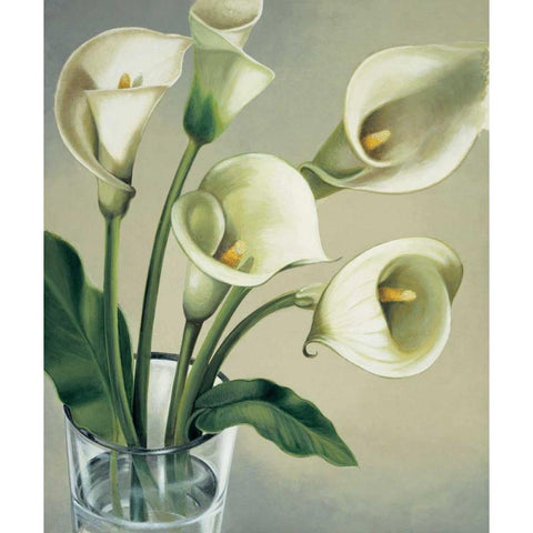 Calle in vaso Black Modern Wood Framed Art Print by Barberini, Eva