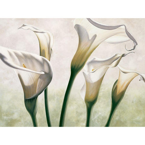 Luce White Modern Wood Framed Art Print by Barberini, Eva