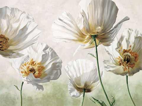 Raggi di sole White Modern Wood Framed Art Print with Double Matting by Barberini, Eva