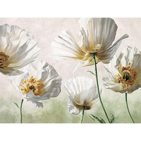 Raggi di sole Black Modern Wood Framed Art Print with Double Matting by Barberini, Eva