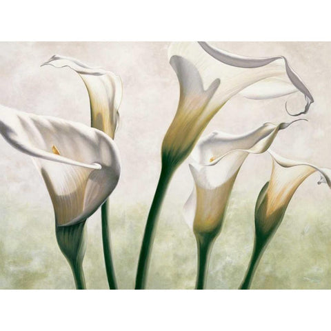 Luce Black Modern Wood Framed Art Print by Barberini, Eva