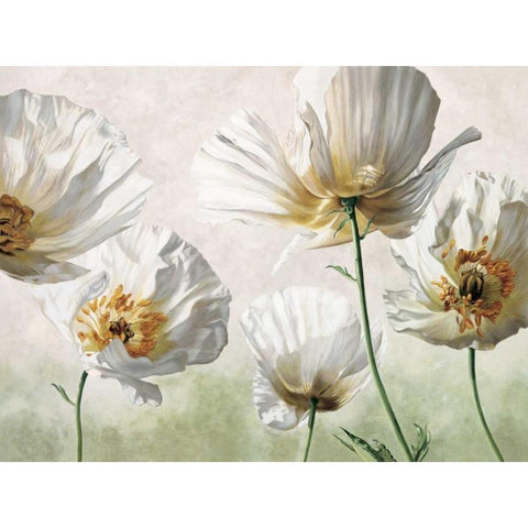 Raggi di sole White Modern Wood Framed Art Print by Barberini, Eva