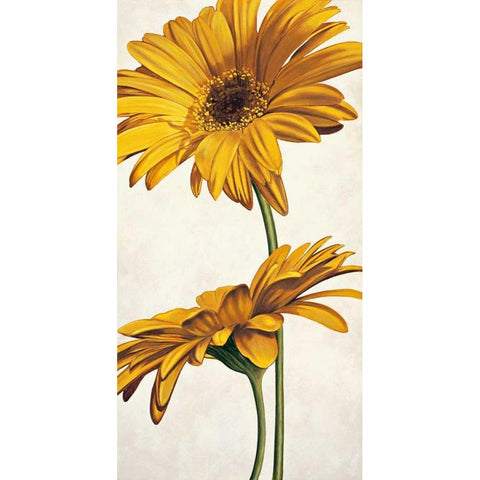 Armonie in giallo Black Modern Wood Framed Art Print by Barberini, Eva