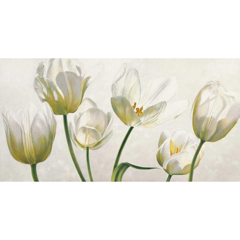Soffio di luce White Modern Wood Framed Art Print by Barberini, Eva