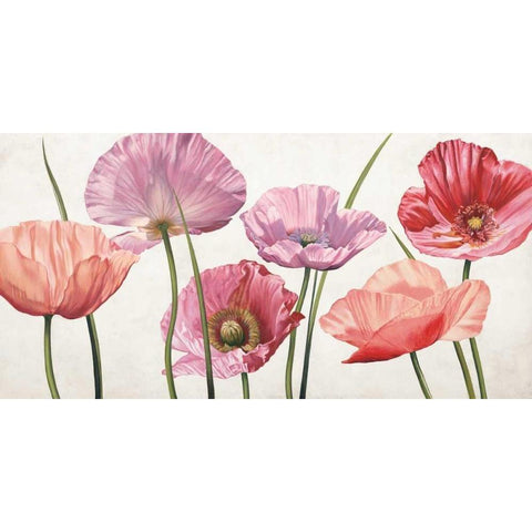 Carezza di luce Black Modern Wood Framed Art Print by Barberini, Eva