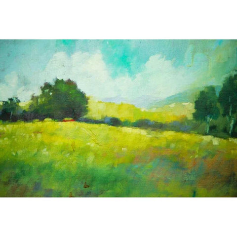 Hillside Black Modern Wood Framed Art Print by Barbini, Eddie