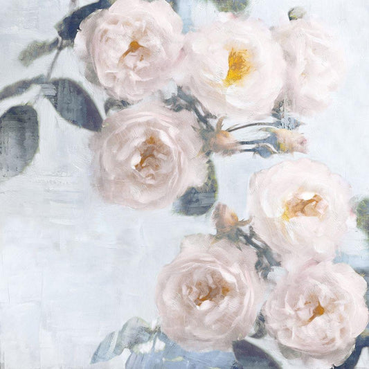 Image Only
