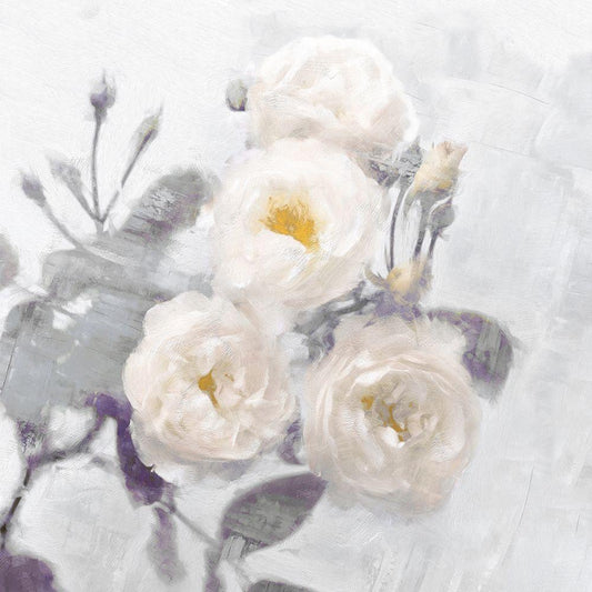Image Only