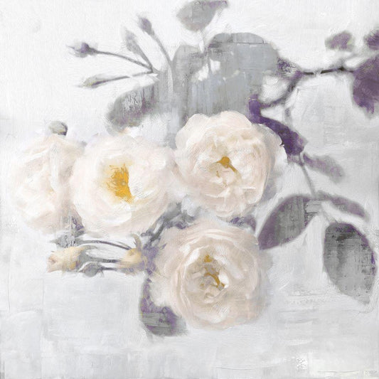 Image Only
